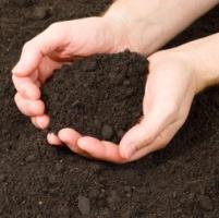 Z čoho pozostáva pôda? Naučte sa zloženie pôdy