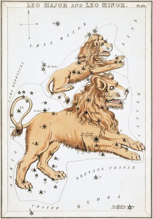 Constellation Lions: umiestnenie a jasné hviezdy