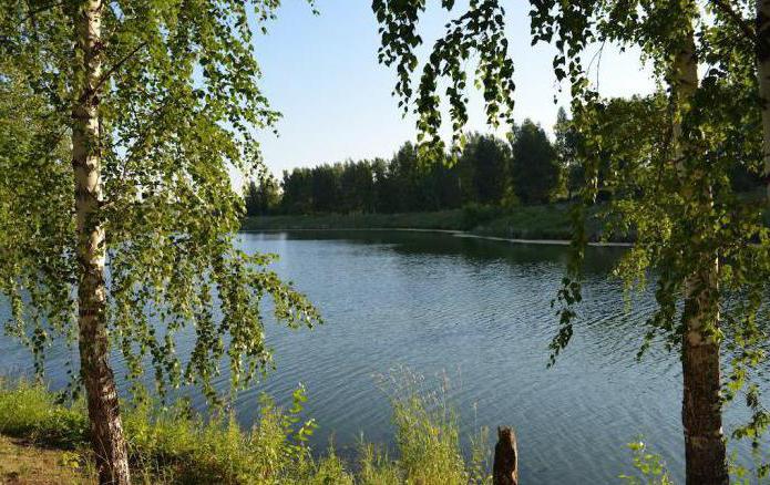 Rybolov v meste Tyumen: rieky, jazerá, ryby
